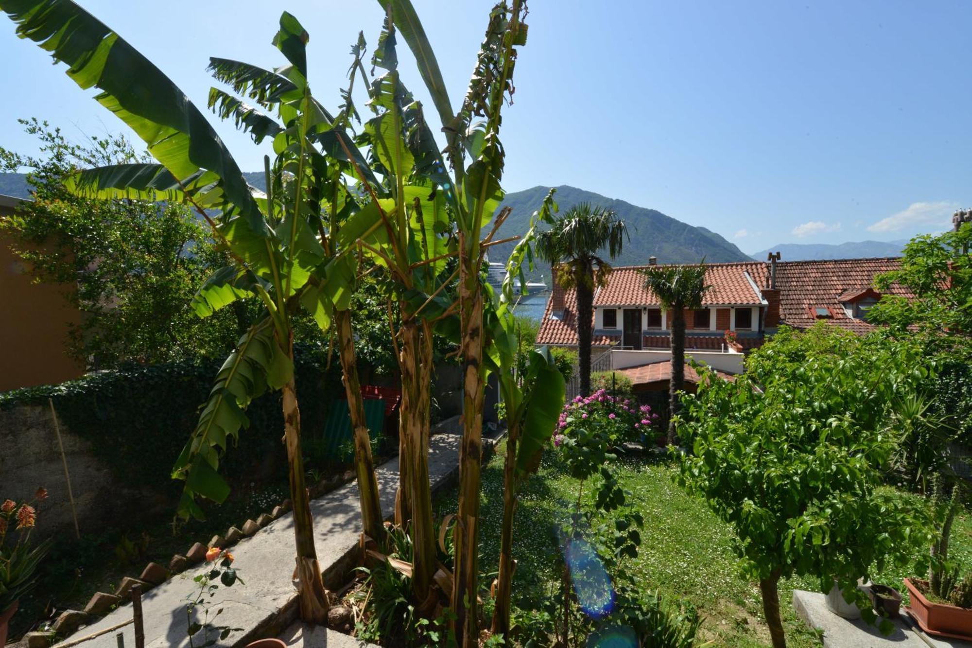 Apartments Popovic 2 Kotor Quarto foto