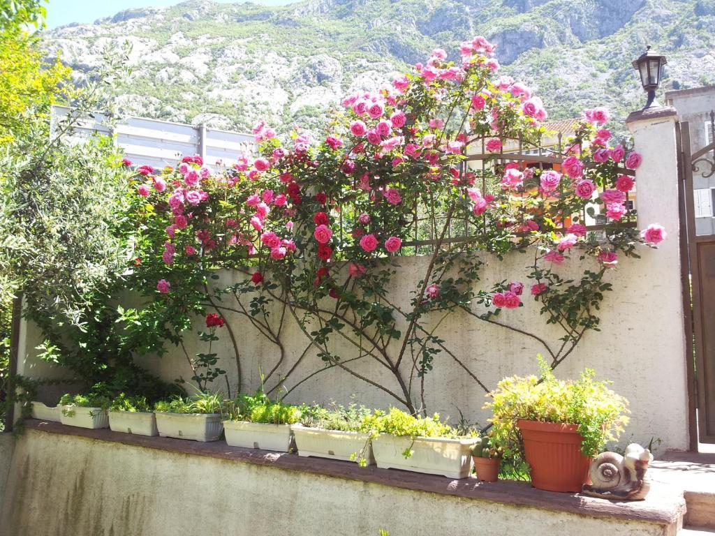 Apartments Popovic 2 Kotor Exterior foto